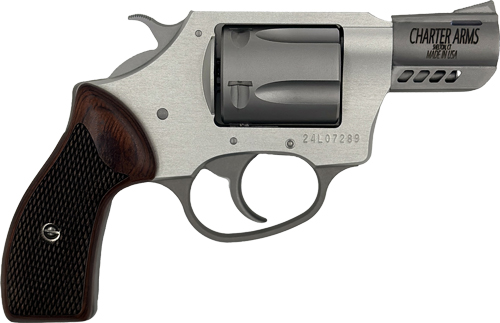 Charter Arms Leader of the Pack 380 Auto - Purple Mountain A view 4