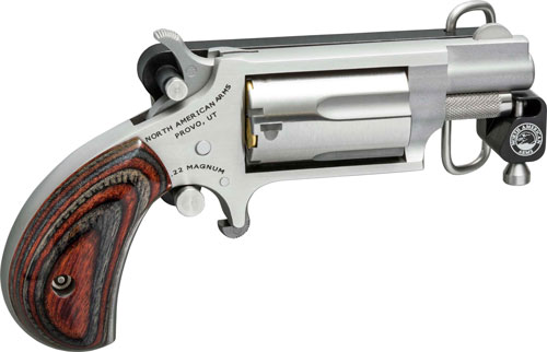 North American Arms Mini-Revolver 22 LR - Purple Mountain Ar view 2