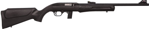 Rossi RS22 22 LR - Purple Mountain Armory view 5