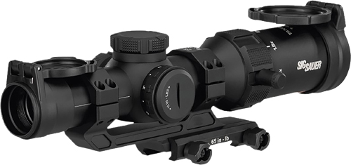 Sig Sauer TANGO SPR - Purple Mountain Armory view 4