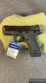 Smith & Wesson Shield X view 1
