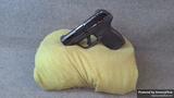 Ruger Ruger LCP MAX .380 Auto Manual Safety Pistol view 1