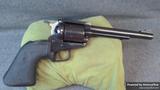 Ruger Blackhawk view 1