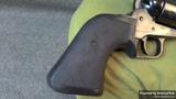 Ruger Blackhawk view 2