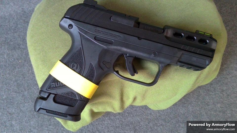 Ruger Ruger Security 380 ACP