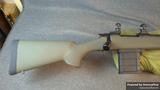 Howa 1500 view 1