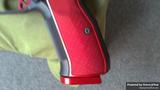 Dan Wesson DWX view 2