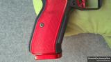 Dan Wesson DWX view 5