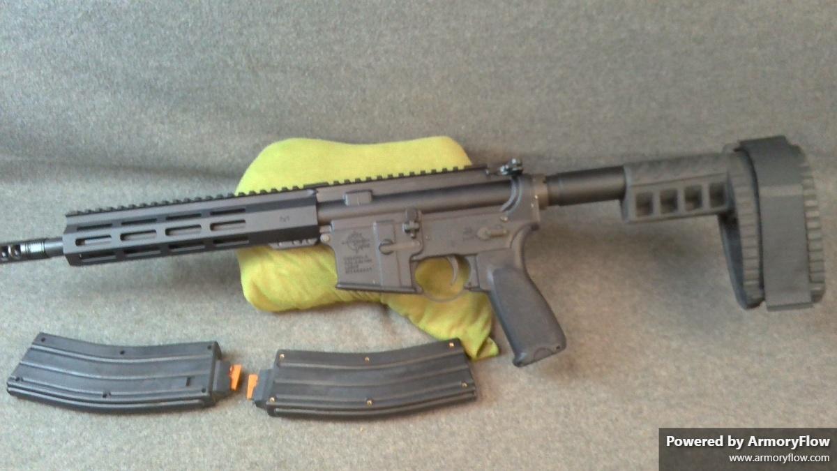 Rock River Arms LAR-15 .22LR Conversion