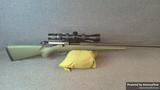 Ruger American view 1