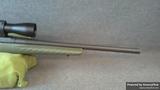 Ruger American view 4