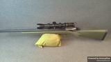 Ruger American view 5