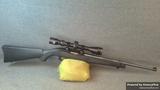 Ruger 10/22 view 1
