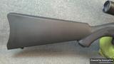 Ruger 10/22 view 2