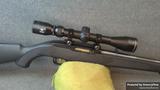 Ruger 10/22 view 3