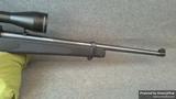 Ruger 10/22 view 4