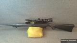 Ruger 10/22 view 5