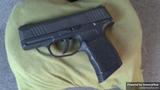 Sig Sauer P365 view 2