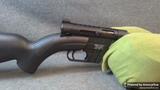 Henry Repeating Arms U.S. Survival AR-7 view 3