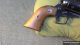 Ruger Super Blackhawk view 5