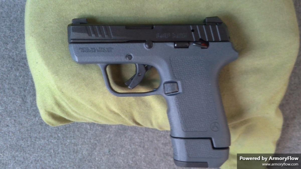 Ruger LCP MAX Magpul EHG