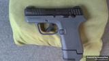 Ruger LCP MAX Magpul EHG view 1