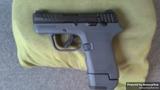 Ruger LCP MAX Magpul EHG view 2