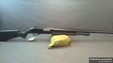 Savage Arms 320 Field view 1