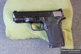 Smith & Wesson M&P EZ view 1