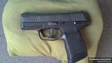 Sig Sauer P365 view 1
