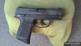 Sig Sauer P365 view 2
