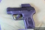 Ruger Lcp Max view 1
