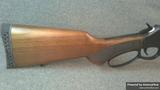 Henry H009PGR-360 Protector view 2