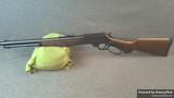 Henry H009PGR-360 Protector view 5