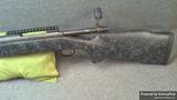 Remington 700 view 1