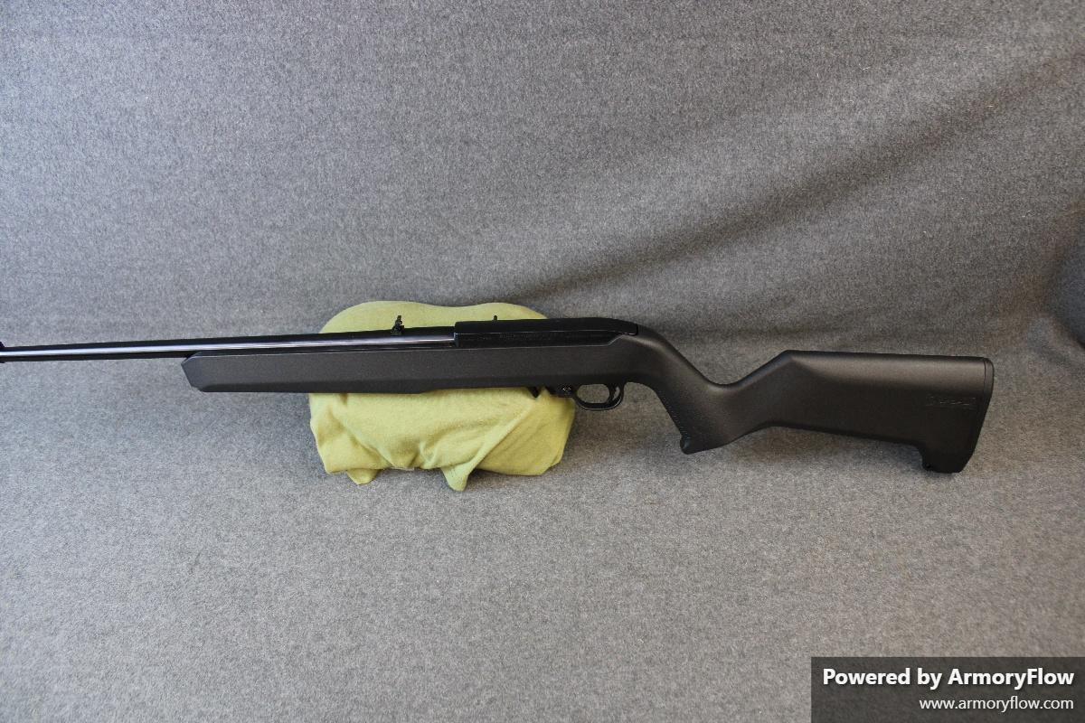 Ruger 10/22