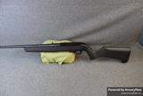 Ruger 10/22 view 1