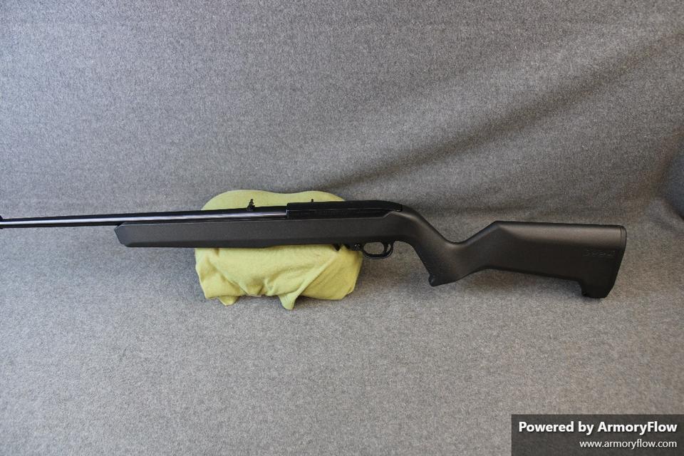 Ruger 10/22