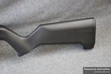 Ruger 10/22 view 2