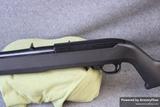 Ruger 10/22 view 3