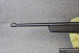 Ruger 10/22 view 4
