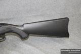 Ruger 10/22 view 2