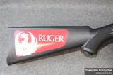Ruger 10/22 view 5