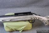 Ruger American view 3