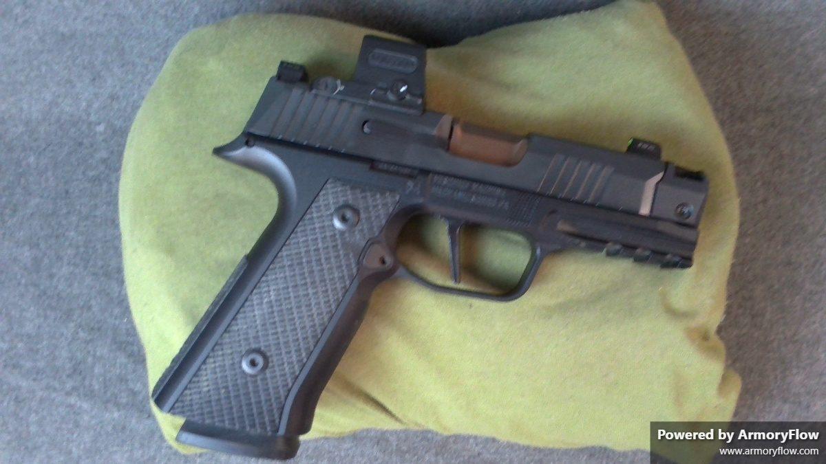 Sig Sauer P365X Custom