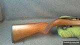 Ruger 10-22 view 2