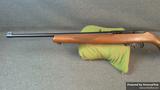 Ruger 10-22 view 3