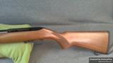 Ruger 10-22 view 4